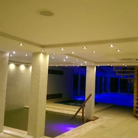 Pension Teleptean Ocna Şugatag Exterior foto